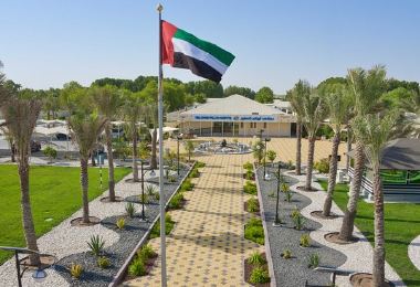 Abu Dhabi Falcon Hospital Popular Attractions Photos