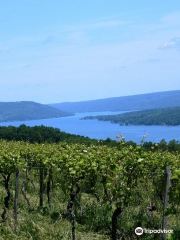 Finger Lakes Wine Country
