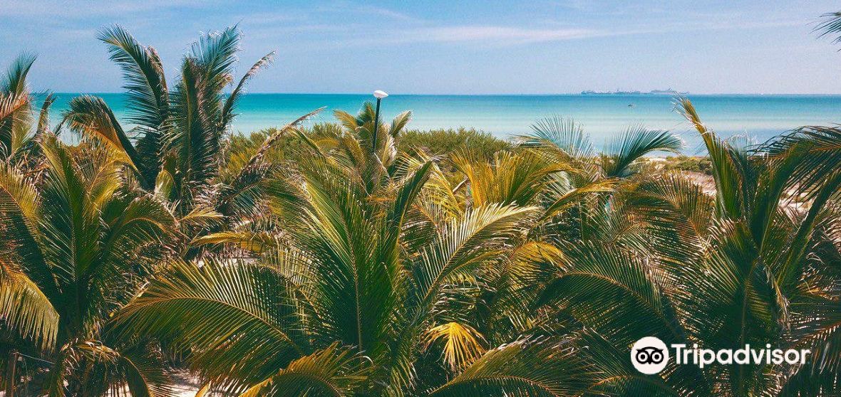 Progreso 2023 Top Things to Do Progreso Travel Guides Top