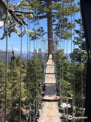 Tahoe Vista Treetop