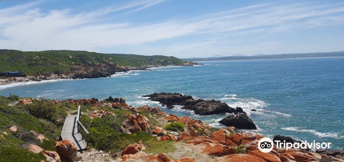 Dana Bay Travel Guide 2023 Things to Do, What To Eat & Tips