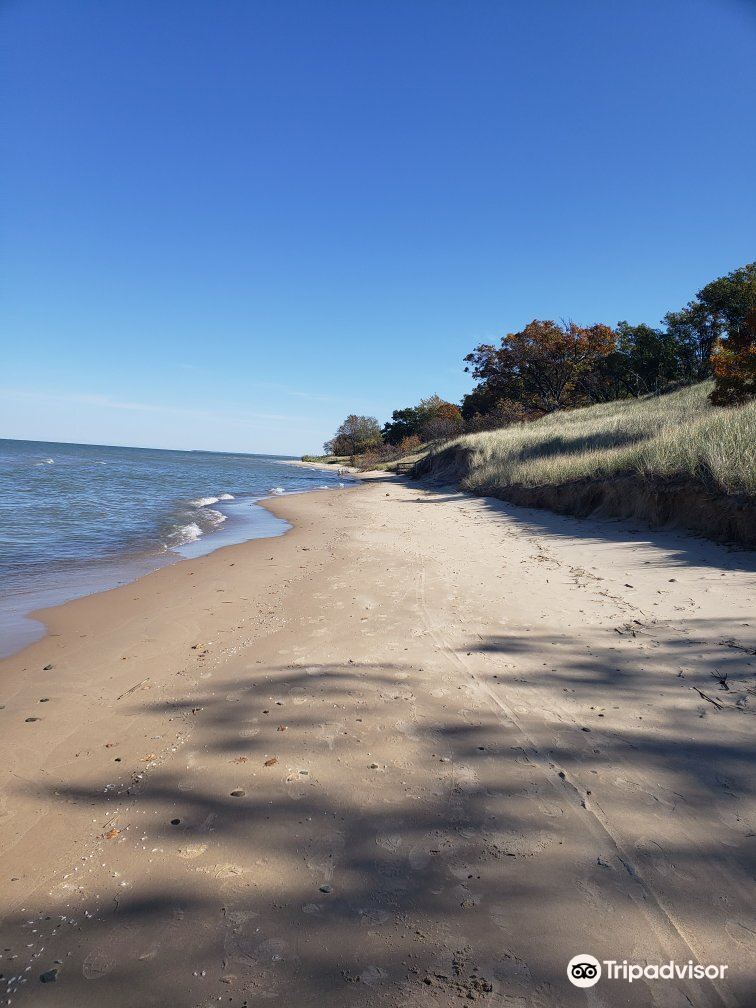 are dogs allowed at sleeper state park beach