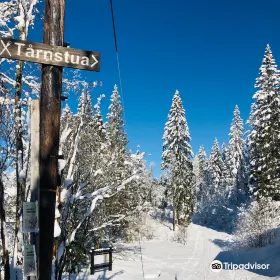 Oslo Vinterpark Tryvann