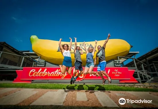 The Big Banana Fun Park