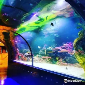 Shreveport Aquarium