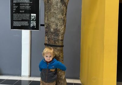 Egidio Feruglio Paleontological Museum