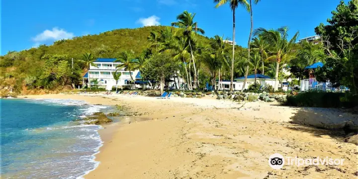 絶対に行くべきセント トーマス島の観光スポット トリップドットコム