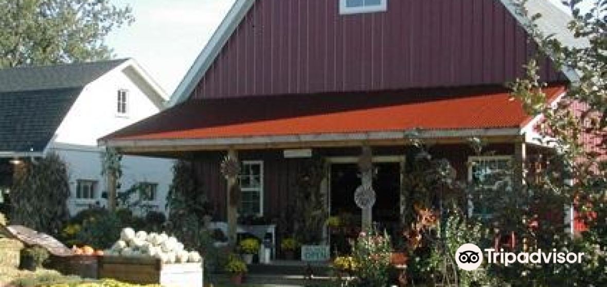 กิจกรรมน่าทำยอดนิยมในWhiteford Townshipประจำปี 2022 คู่มือท่องเที่ยว