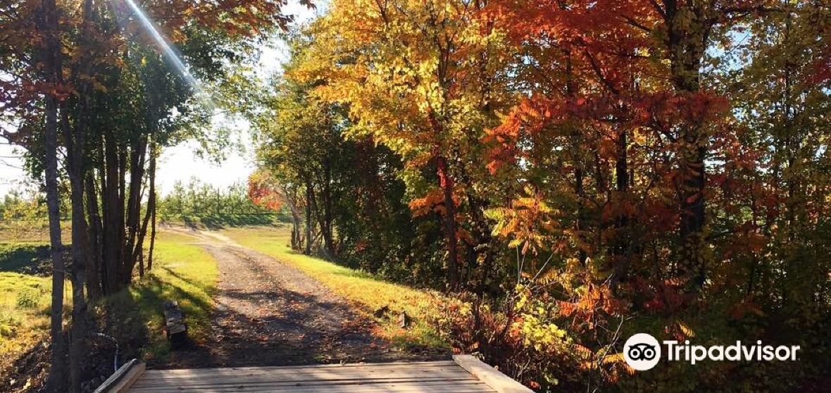 Hinchinbrooke Travel Guide 2023 Things to Do, What To Eat & Tips