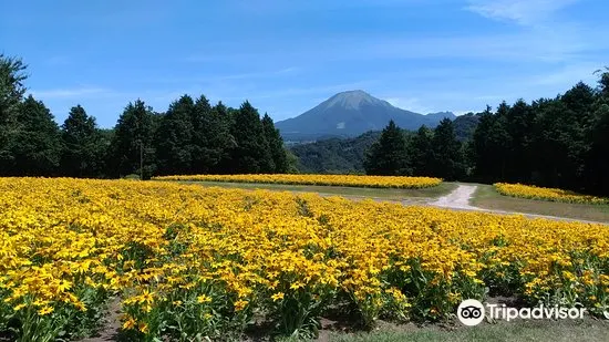 鳥取花回廊景點評價 鳥取花回廊門票 鳥取花回廊優惠 鳥取花回廊交通 地址 開放時間 鳥取花回廊附近景點 酒店及美食 Trip Com 鳥取花回廊景點評價 鳥取花回廊門票 鳥取花回廊優惠 鳥取花回廊交通 地址 開放時間 鳥取花回廊附近景點 酒店及美食 Trip Com