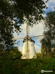Windmill Keeken