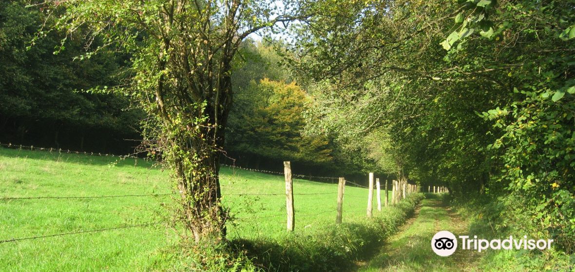 La NoePoulain Travel Guide 2024 Things to Do, What To Eat & Tips