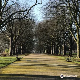 Albert Park