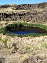 Diamond Craters Outstanding Natural Area