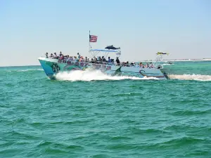 AJ's Water Adventures: Dolphin Tours and Sunset Cruises