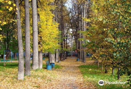 Парк имени блюхера екатеринбург