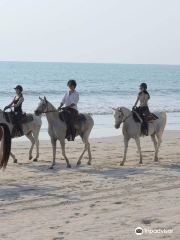 South Arabian Horse Club