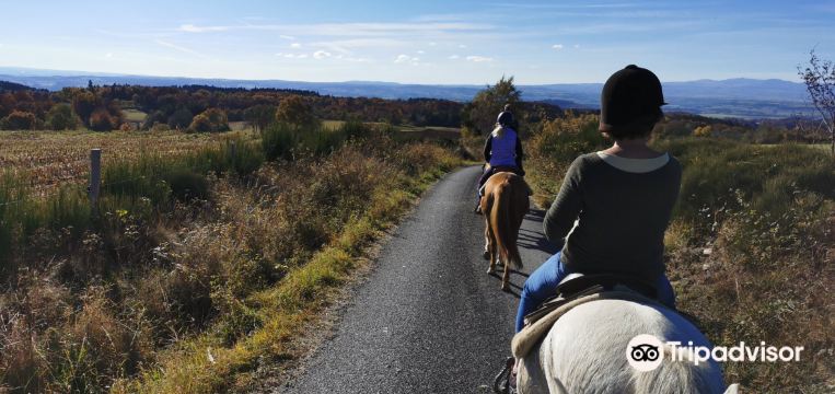 แนะนำการเดินทาง Tiviers 2024 สิ่งที่ควรทำ, อาหารที่ควรรับประทาน & ทิป