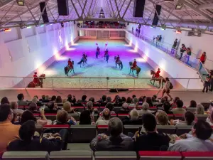 A Escola Portuguesa de Arte Equestre