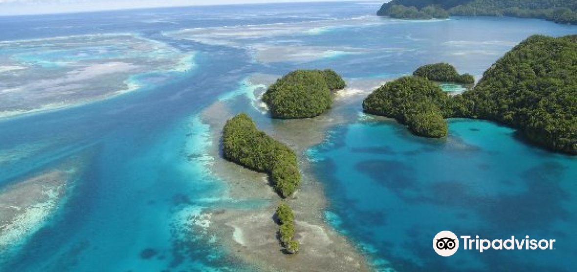 22年パラオの人気観光スポット パラオの旅行ガイド パラオのおすすめ観光スポットのチケット ホテル 楽しみ方 グルメ レストラン Trip Com