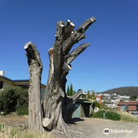 Nutgrove Beach