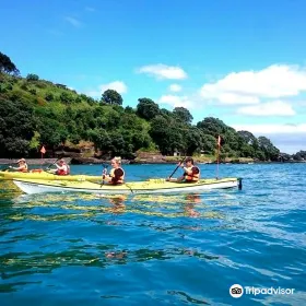 Fergs Kayaks Auckland