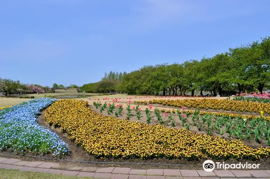 富山縣中央植物園旅遊攻略指南 富山縣中央植物園評價 富山縣中央植物園附近推薦 Trip Com