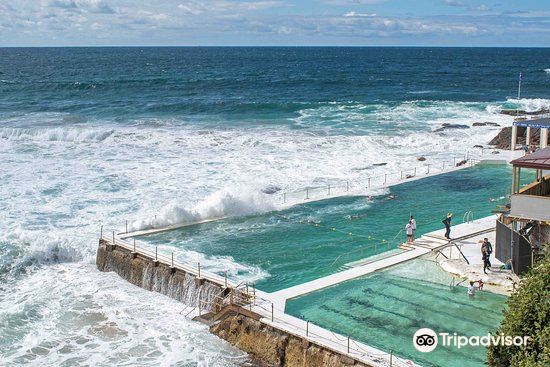 Bondi Icebergs CLUB attraction reviews - Bondi Icebergs CLUB tickets - Bondi  Icebergs CLUB discounts - Bondi Icebergs CLUB transportation, address,  opening hours - attractions, hotels, and food near Bondi Icebergs CLUB -  