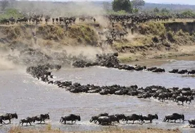 Tropical Wild Expeditions รูปภาพAttractionsยอดนิยม