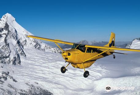 Southern Alps Air - Scenic Flights
