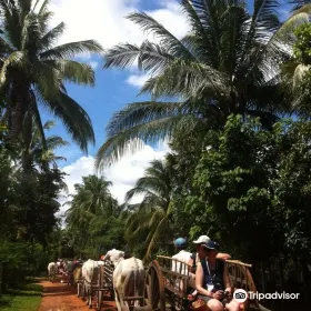 Cambodian Community Experiences