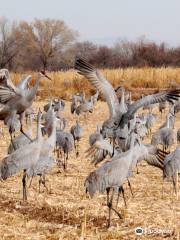 Ladd S. Gordon Waterfowl Complex - Bernardo