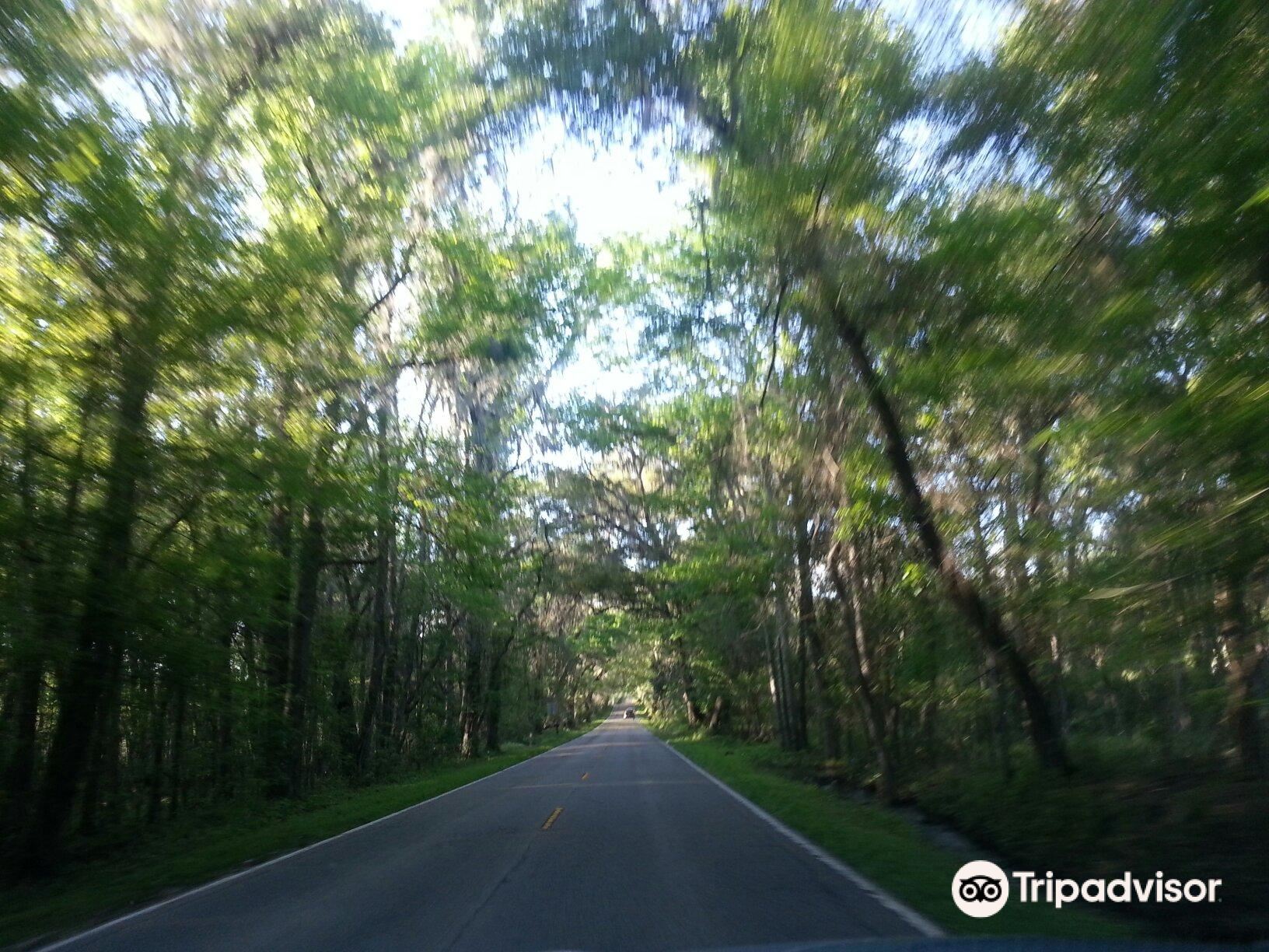 Travel 1 Day in Tallahassee Best Vacation Spots in Tallahassee