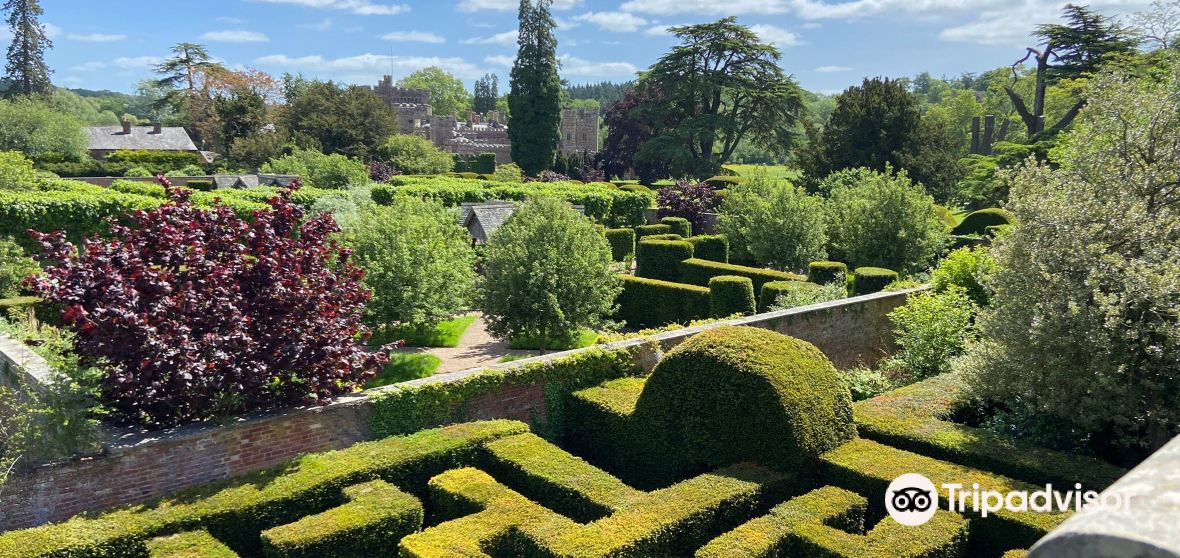 กิจกรรมน่าทำยอดนิยมในHope under Dinmoreประจำปี 2023 คู่มือท่องเที่ยว