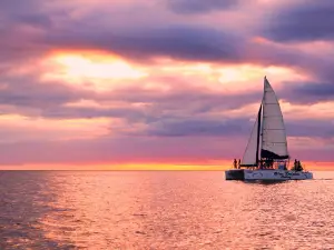 Blue Dolphin Sailing