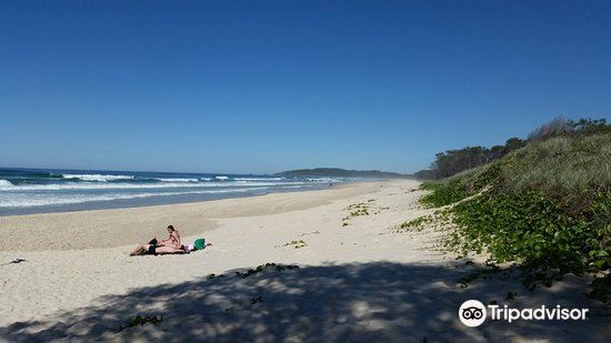 Surfing with dolphins Tallo Beach, Byron Bay.