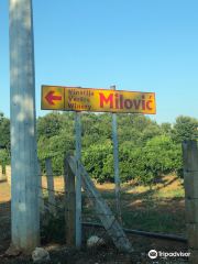 Milovic Winery