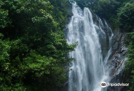 Mohini falls