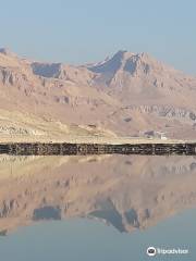 L'altra Israele