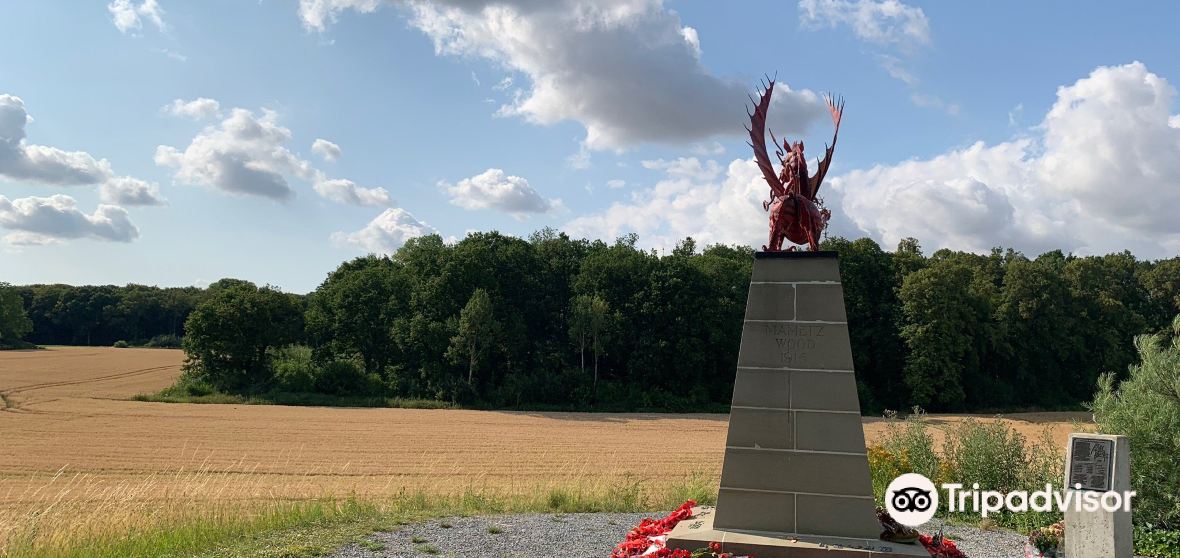 กิจกรรมน่าทำยอดนิยมในContalmaisonประจำปี 2023 คู่มือท่องเที่ยว