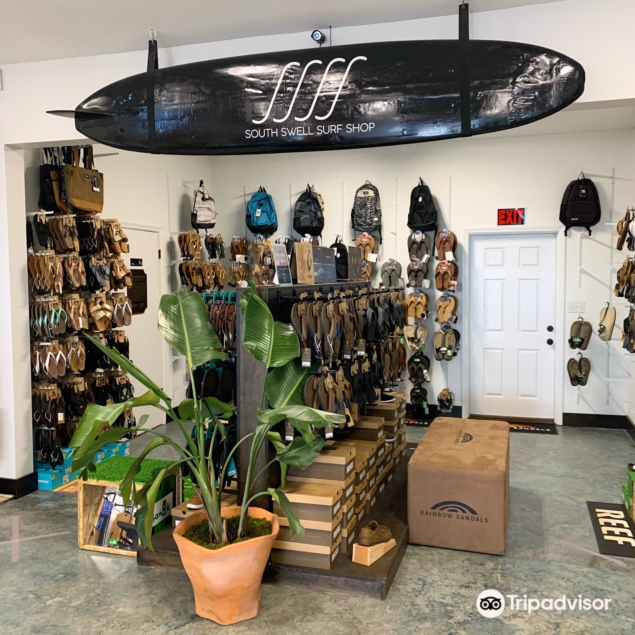 swell surf store