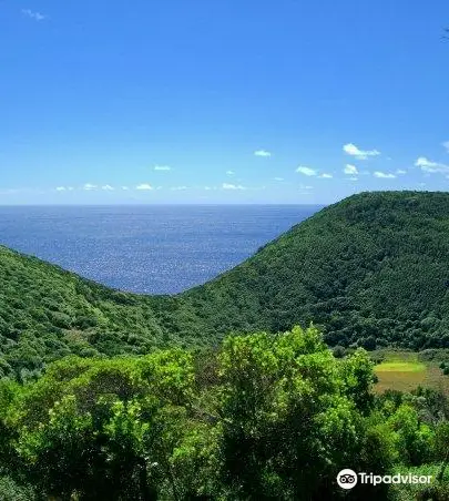 絶対に行くべきテルセイラ島の観光スポット トリップドットコム