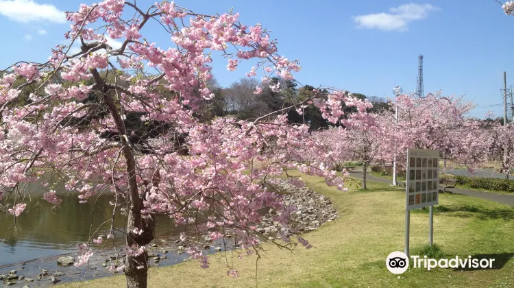 大百池公園景點評價 大百池公園門票 大百池公園優惠 大百池公園交通 地址 開放時間 大百池公園附近景點 酒店及美食 Trip Com