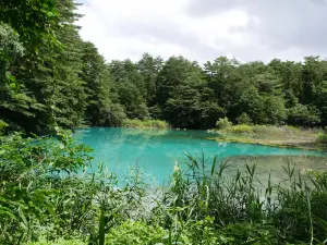 Goshikinuma Ponds