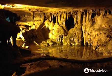 Raccoon Mountain Caverns and Campground