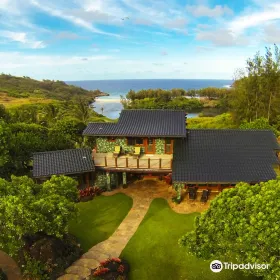 Pure Kauai