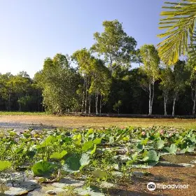 Centenary Lakes Botanic Gardens