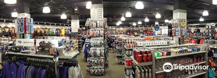 pro football hall of fame shop