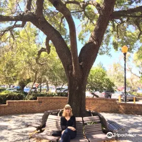 Winter Park Public Library