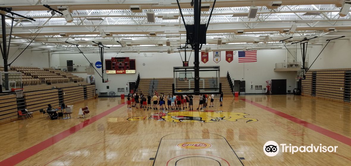 Mecosta County Travel Guide 2023 Things to Do, What To Eat & Tips